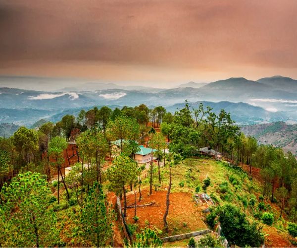 Ranikhet  Tour