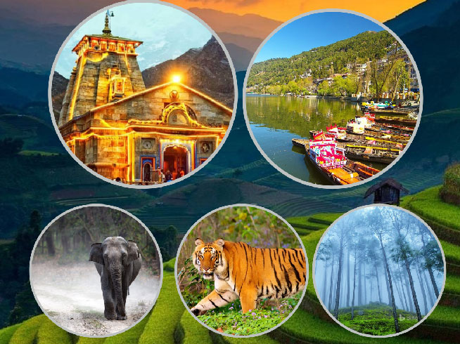 Himachal Tour